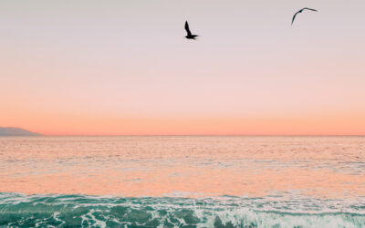 Follow Your Intuition