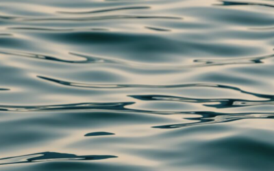 The External World Is A Mirror For Us
