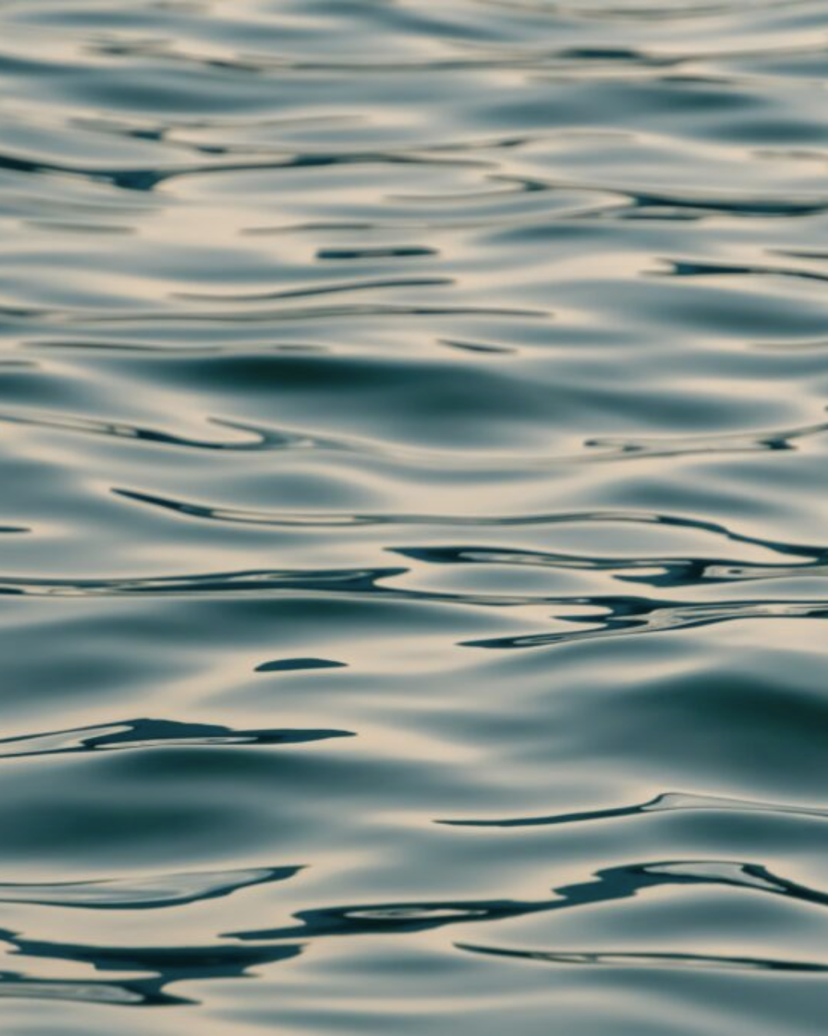 The External World Is A Mirror For Us